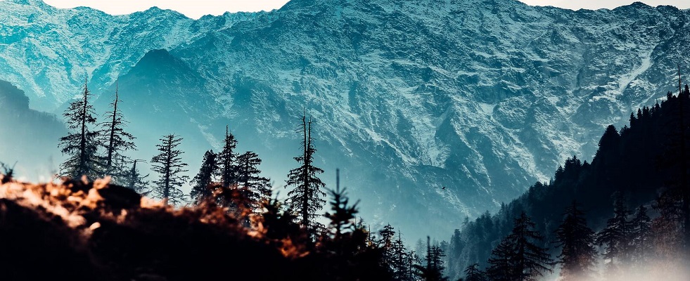 Chardham Yatra: A Spiritual Odyssey through the Himalayas